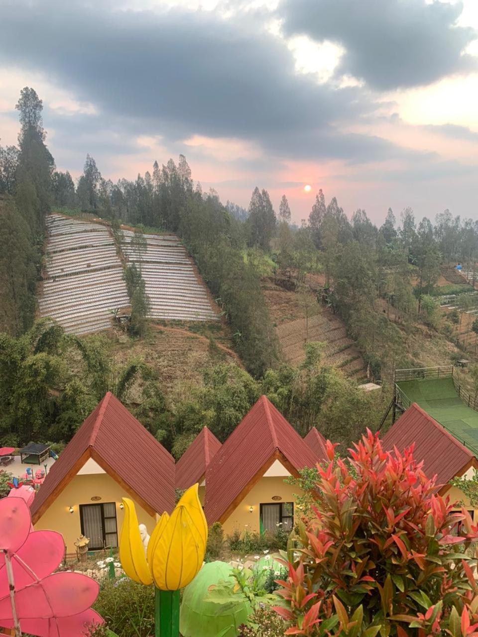 Hotel Nature Bromo And Resort パスルアン エクステリア 写真